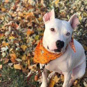 Meet your Posher, Kaylee